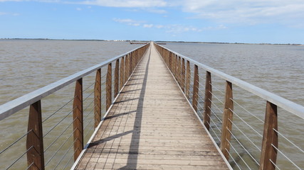 Obraz premium Walkway to the lake