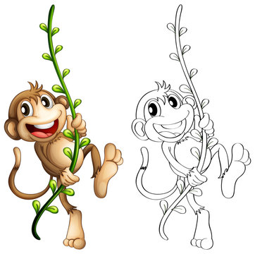 Animal outline for monkey on vine