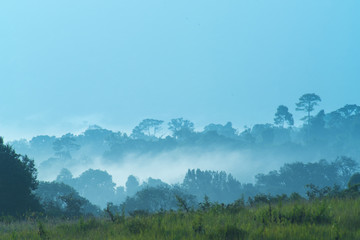 abstract view of nature outdoor