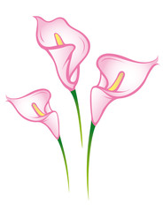 Beautiful pink lilies walltattoo  © Mareen Vandelay