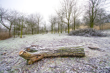Park cover with light snow