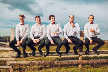Fototapeta premium Five confident smiling handsome groom sitting on fence and looking to the sky. Group picture. Nature landscapes.