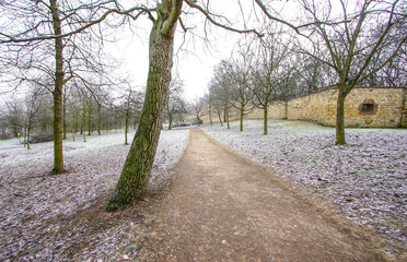 Fototapeta premium Park cover with light snow
