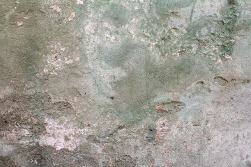 Wall dark green texture