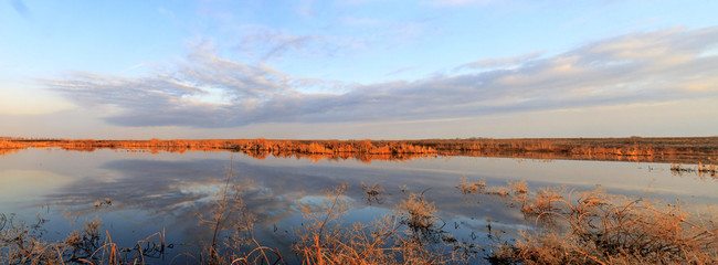 Spring flood water in the lake hunting