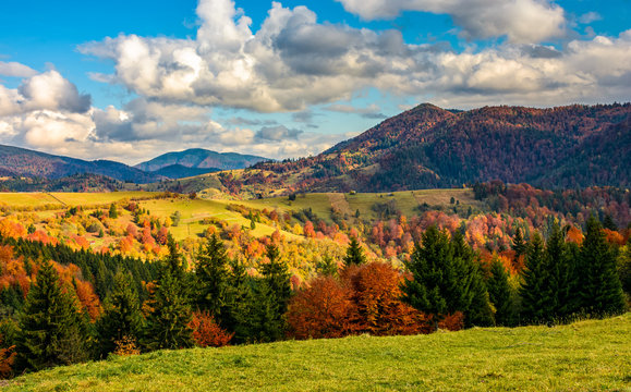 mountain rural area in late autumn