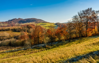 Naklejka premium mountain rural area in late autumn