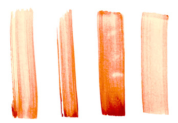 Vector set of painted strokes