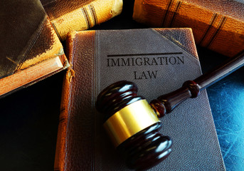 Immigration Law concept
