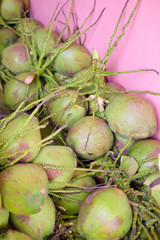 Green coconut fruit