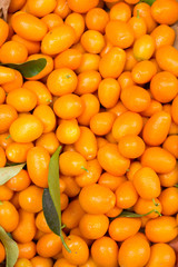 Fresh fruits of kumquat as natural background