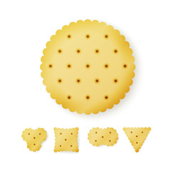 Cracker In Different Shapes. Yellow Cookie Vector.