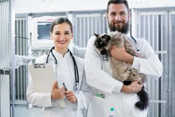 Tierärzte mit Katze auf Intensivstation von Tierklinik