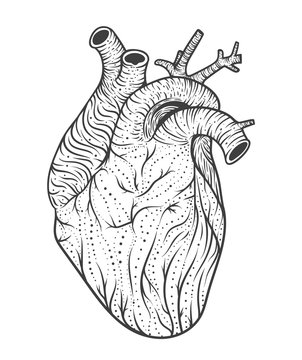 Human heart line art. Vector illustration. Tattoo style