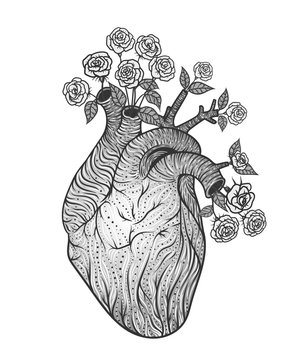 Human heart with flowers. Vector illustration. Tattoo style