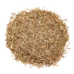 Air dried and cut organic Lemongrass (Cymbopogon citratus) isolated on white background for Infused Tea. Macro closeup. Top view.
