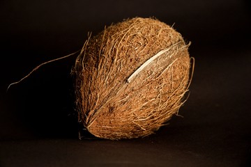 coconut