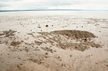 Low Tide Beach on Bay of Fundy - New Brunswick - Canada