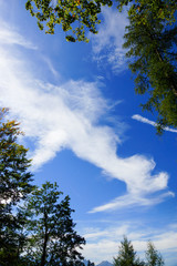 clear sky