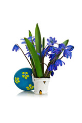 Easter eggs with a bouquet of snowdrops on a white background