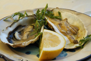 oysters plate