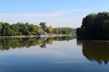 The trees reflecting off the lake in the park.