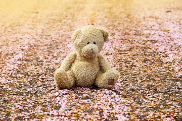 Blurred lonely teddy bear sitting on ground with pink flower fall