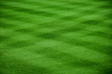Green grass in football field