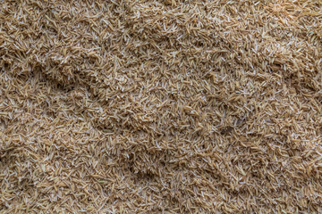 husk, chaff