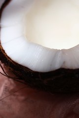 coconut