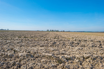 Plowed field below a blue sky in spring