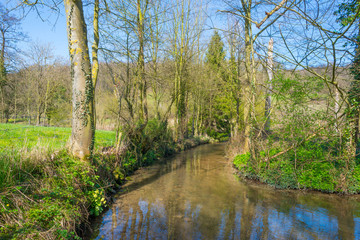 Stream flows through a meadow in spring