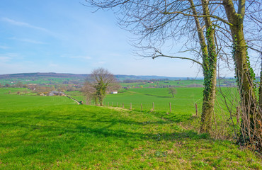 Panorama of a sunny green meadow on a hill 