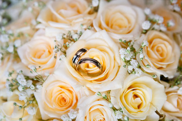 wedding rings on the roses. Wedding symbols, attributes. Holiday, celebration. Macro