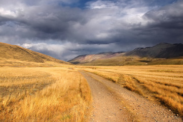 Fototapeta na wymiar Road path on a desert wild mountain plateau with the orange yellow dry grass at the background of the hills under a stormy dramatic sky with white clouds, Plateau Ukok, Altai, Siberia, Russia