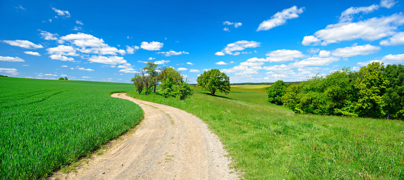 Feldweg durch gr&uuml;ne Felder und Wiesen unter blauem Himmel im Fr&uuml;hling