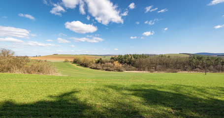 Spring landscape with green pastures