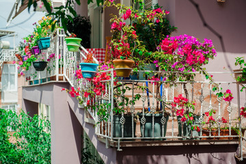Fototapeta na wymiar Flowers on balcony
