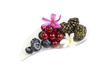 Mini canap with elements of molecular kitchen on white background 