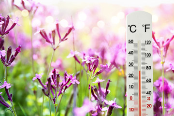 Naklejka na ściany i meble thermometer at field of flowers indicating weather change