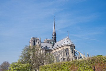 Fototapeta na wymiar Paris, Notre-Dame cathedral in the ile de la Cite