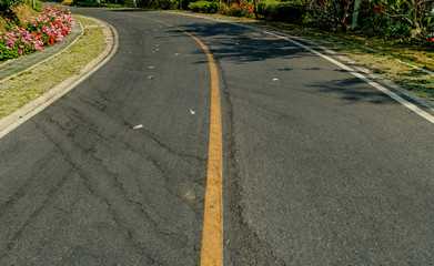 Asphalt road with yellow line