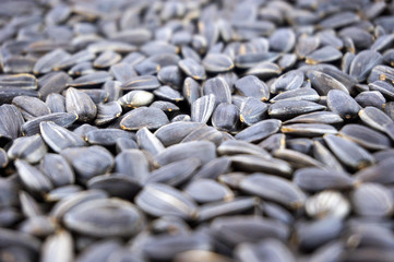Obraz premium Sunflower seeds