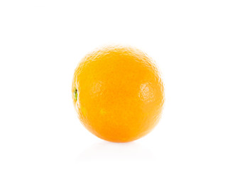 orange on white background