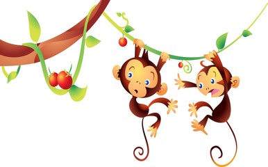 Little monkey cartoon