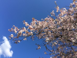 printemps Annecy