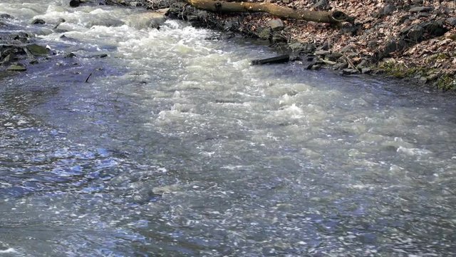 Small river in a spring park. Outdoor water landscape