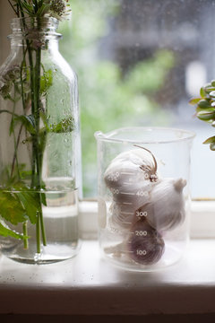 Garlic bulbs in measuring jug by window 