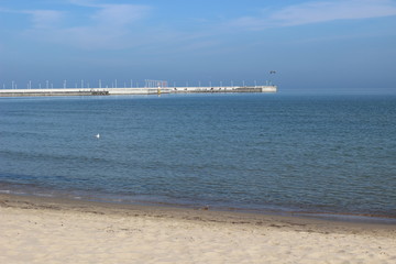 Blackheaded gull on the beach, seagull and swan an the beach, birds on the sea, pier on the sea, pier, sea, swan, sunny day on the beach, sunny say on the sea, baltic sea, 