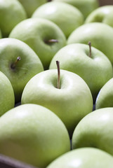 Fresh produce close up details.